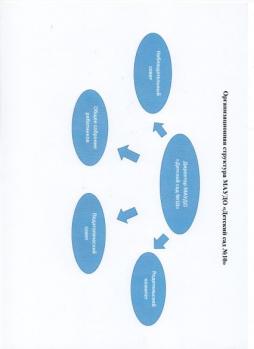 Организационная структура МАУДО "Детский сад №10"